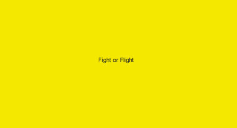 “Fight or Flight”